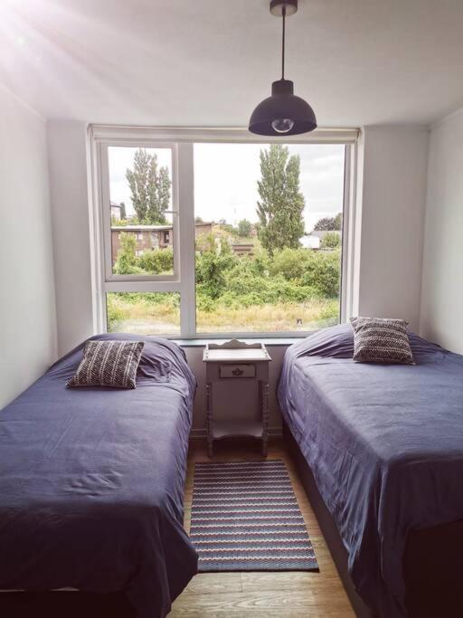 Apartamento Lindo Y Comodo Depto A Pasos Del Llanquihue - Pto Varas Puerto Varas