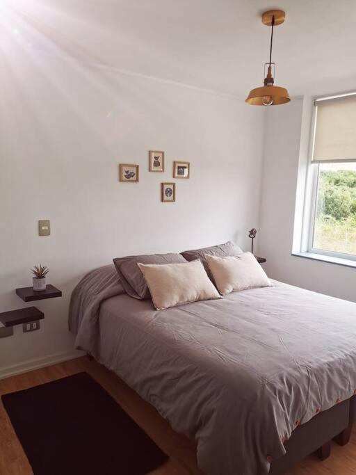 Apartamento Lindo Y Comodo Depto A Pasos Del Llanquihue - Pto Varas